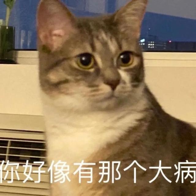 沙雕猫猫表情包：气到炸毛