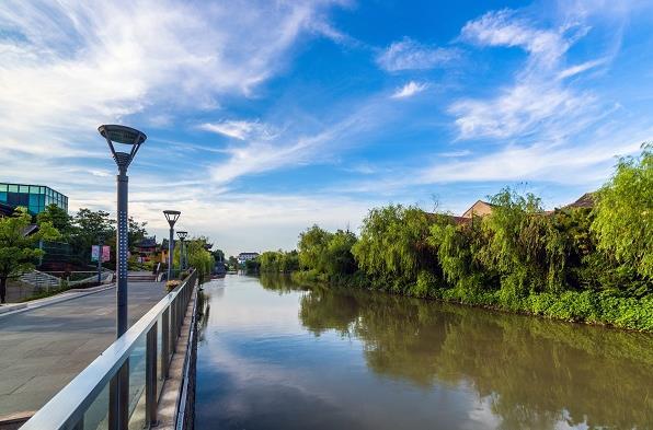 五颜六色的最美季节来啦！申城秋季赏景指南
