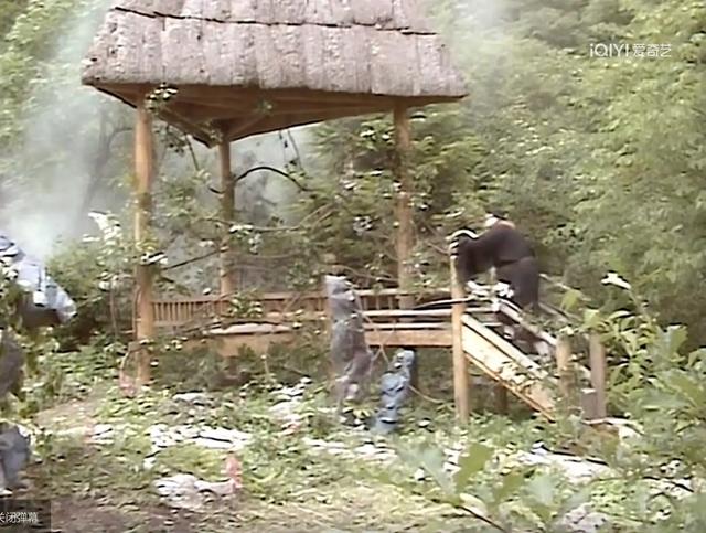 央视版《西游记》取景地：第二十一集《错坠盘丝洞》