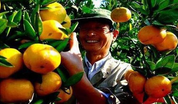 五颜六色的最美季节来啦！申城秋季赏景指南