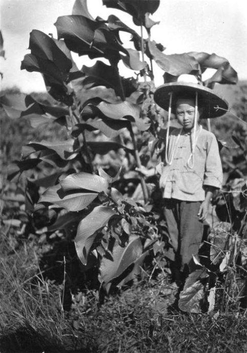 30年代的广州乡村，大姑娘不裹脚，黄飞鸿徒弟梁宽的家乡