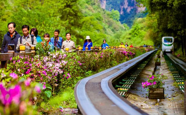 张家界的那些被遗记了的方言