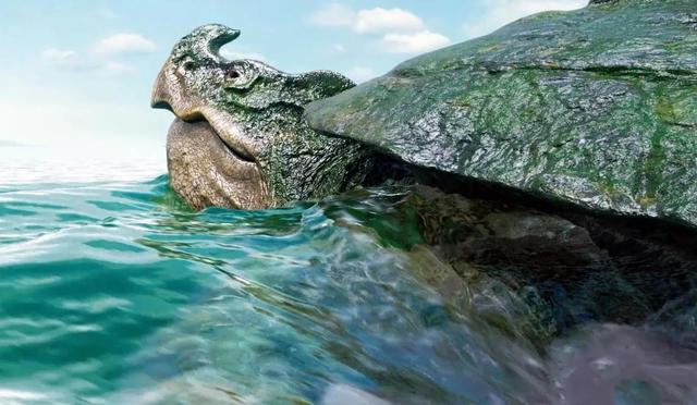 雪中悍刀行：八只神奇的异兽，除了大猫、大鼋、虎夔，还有什么？