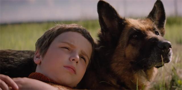 狗狗队集合！电影频道将排播7部温馨狗狗电影！