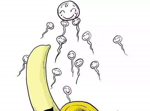 当孩子问起“我从哪里来”……