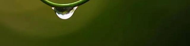 诗意与浪漫交织的抗日战争片——《生死线》