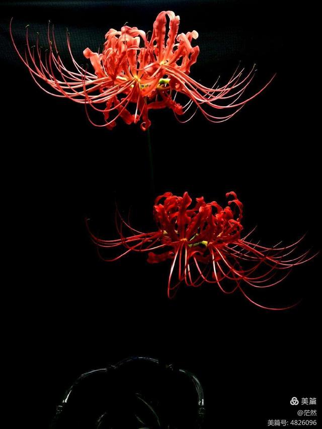 温柔的诱惑（短篇小说）（完结篇）