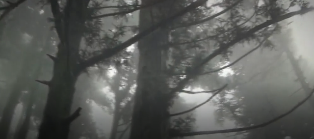 四川山村惊现神秘“龙骨石”，质地形状如同龙骨，专家认为不简单