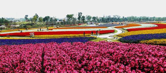 五颜六色的最美季节来啦！申城秋季赏景指南