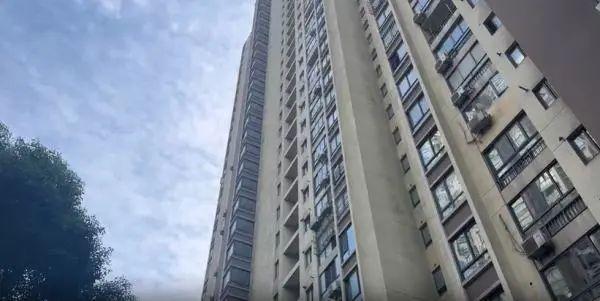 电梯里做不雅动作！上海这个小区业主直呼：太恶心