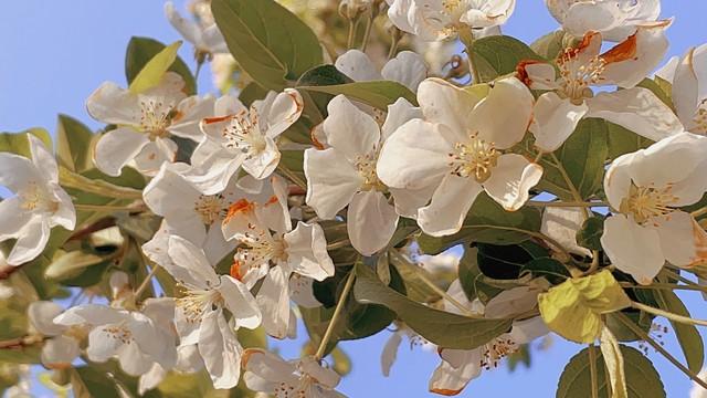 揭秘：成功婚姻背后，那些你不知道的秘密✨