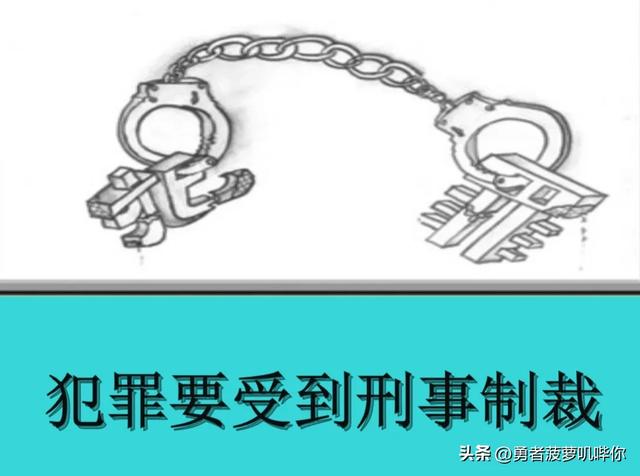 91大神落网记,偷拍女孩性爱视频获利百万,受害者超过三百多人