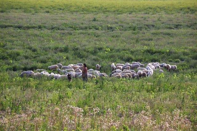 影像｜莱钢老年《摄影视界》作品欣赏：展现五光十色的世界