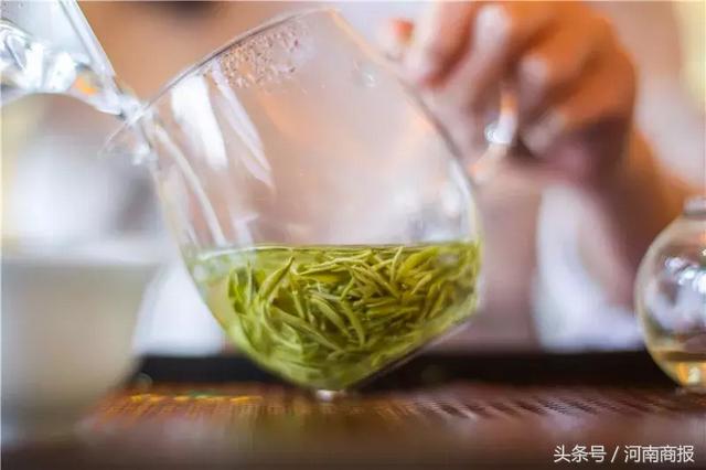 信阳明前毛尖真相调查：成本每斤500元！你买的很便宜？假的！