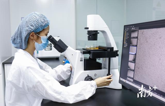 艾一生科:用干细胞外泌体研究成果造福皮肤病人群|中山健康医药产业大调研