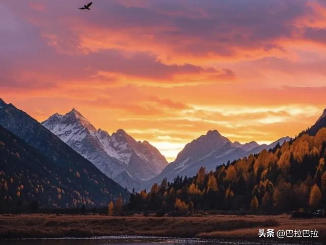 婚姻不易，且行且珍惜——除非触碰这三条底线