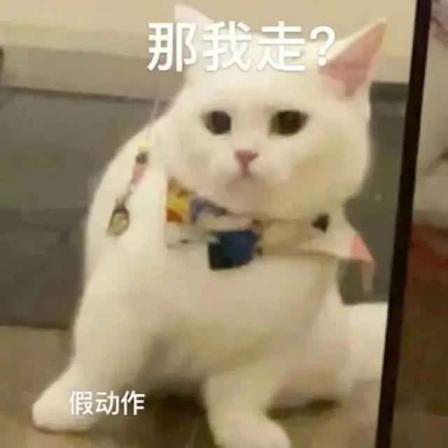 沙雕猫猫表情包：气到炸毛