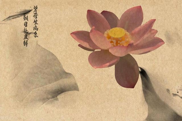 修行的核心：云何应住,云何降伏其心?