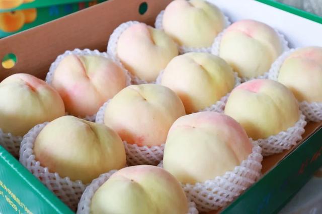 口水哒哒滴～蜜桃季来了！