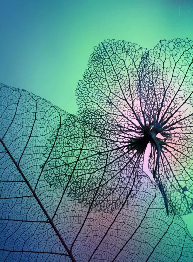 「陕西」李博｜十八岁那年，我在新疆