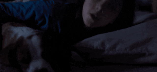 狗狗队集合！电影频道将排播7部温馨狗狗电影！