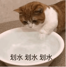 沙雕猫猫表情包：气到炸毛