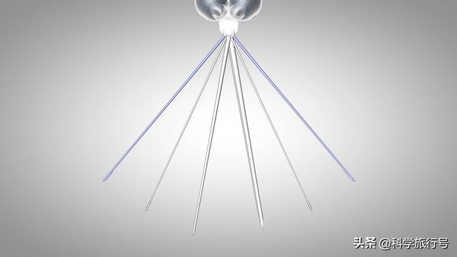 蚊子吸血过程到底有多恐怖，超出你的想象