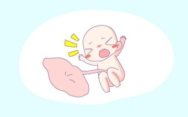 白天与晚上出生的孩子有什么区别，哪个时间段更好？