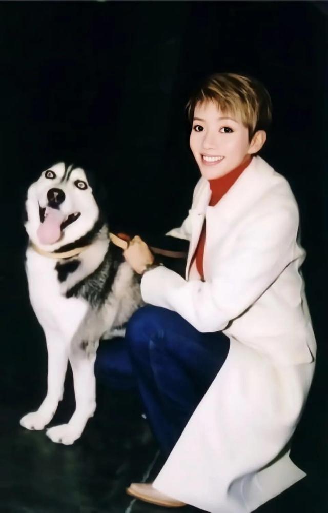 明星怀旧系列图片壁纸～梅艳芳