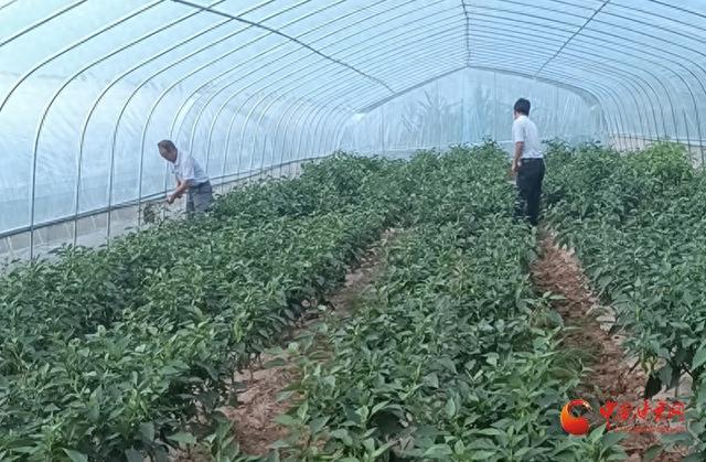 华亭：岁物丰成喜气扬 农家处处笑声长