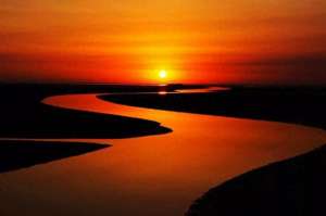 张天野(何以《满江红》——张天野)