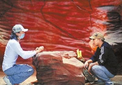 《西游降魔篇》编剧被称为周星驰唯一的真传弟子，他也要拍电影，开创自己的喜剧时代了！