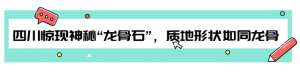 龙骨石(四川山村惊现神秘“龙骨石”，质地形状如同龙骨，专家认为不简单)