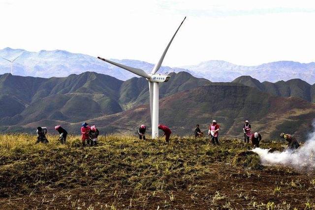 影像｜莱钢老年《摄影视界》作品欣赏：展现五光十色的世界