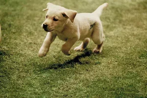 一个特殊职业，你肯定不了解