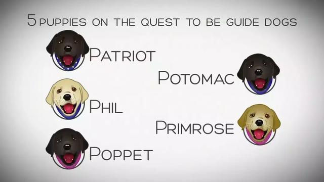 一个特殊职业，你肯定不了解