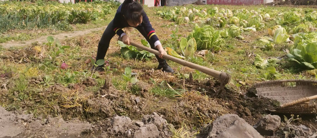 1994年，伍继红692分考上人大，至今失业中，与5个孩子靠低保生活