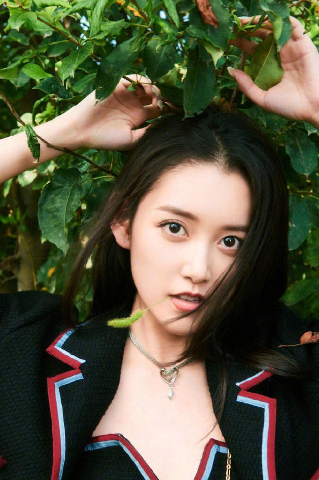 蒋依依-又是一个艳阳天