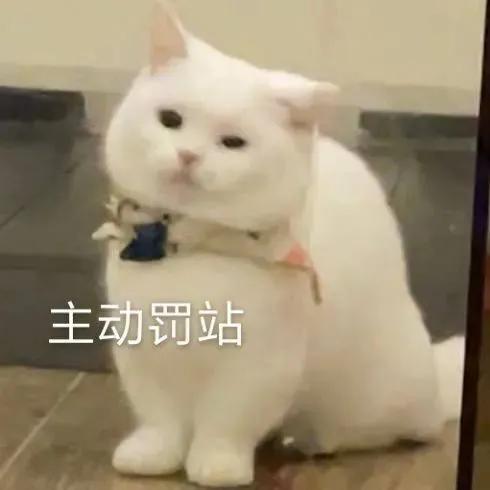 沙雕猫猫表情包：气到炸毛