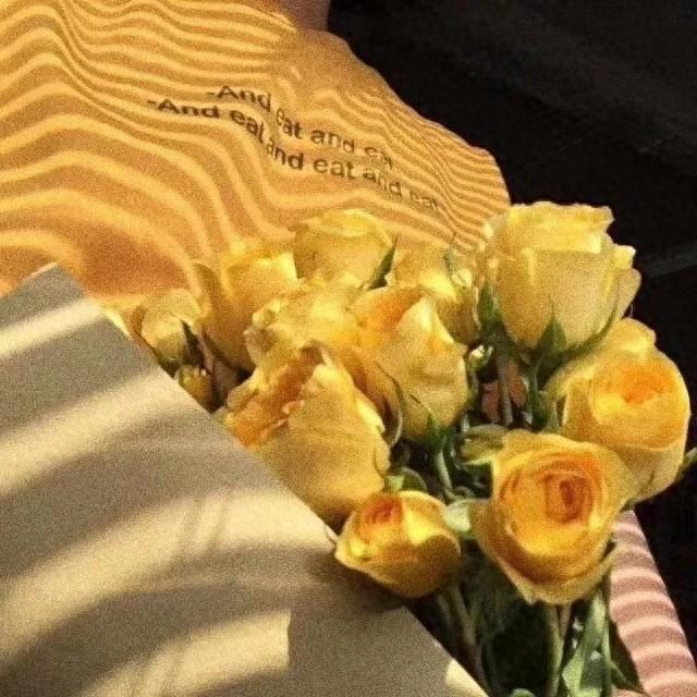 《白色橄榄树》by玖月晞