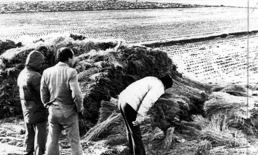 人间恶魔！韩国华城连环杀人案调查结果：李春宰杀14人 强奸9人