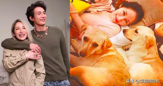 萧亚轩“又双叒叕”分手了，纵观17任鲜肉男友，谁才能俘获她的心