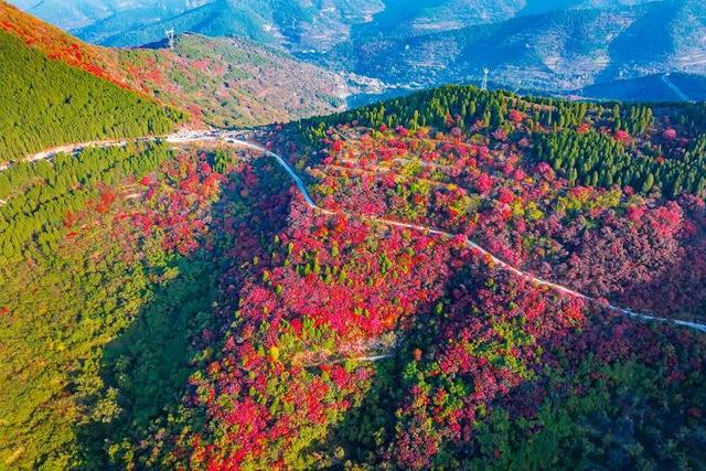 山东好景｜济南劈山“红叶秘境”秋色醉人