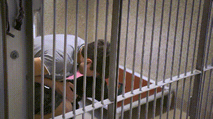 一个特殊职业，你肯定不了解