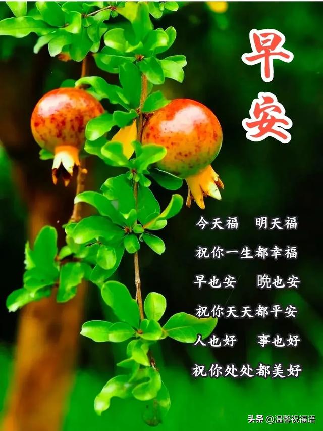 10月26日-精选老年人早上好美图带字，早晨好幸福暖心的问候图片