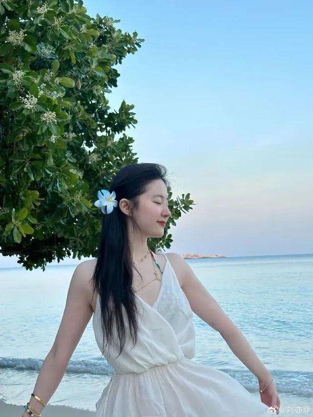 南京一柜姐用账号评论“刘亦菲微胖”被辞退，品牌方道歉