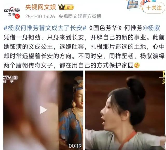 央媒接连锐评杨紫,言辞犀利,不提演技,却句句说到观众的心坎里