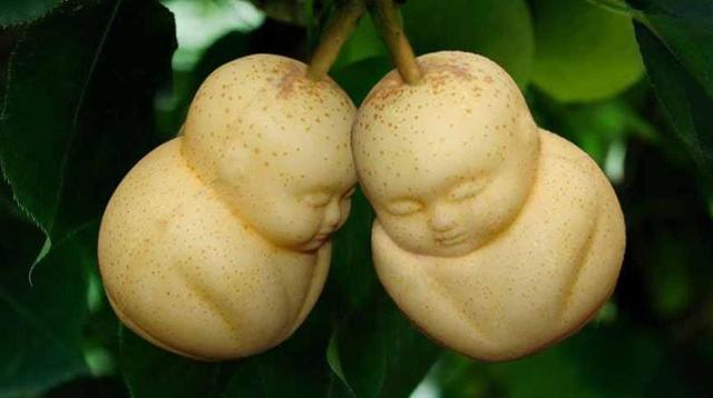 世界上最贵的水果有多贵？盘点14种贵得离谱的水果