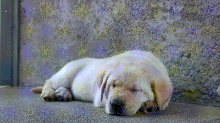 一个特殊职业，你肯定不了解