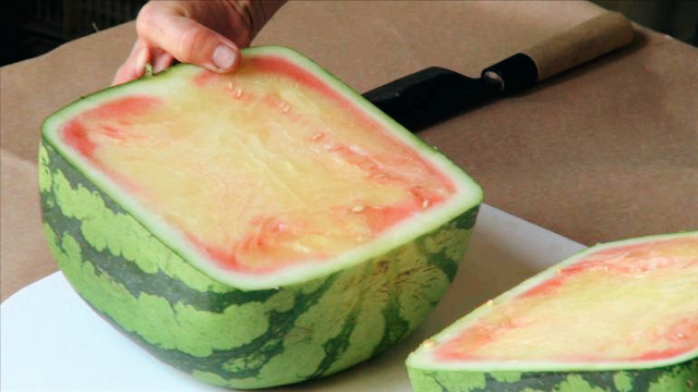 世界上最贵的水果有多贵？盘点14种贵得离谱的水果